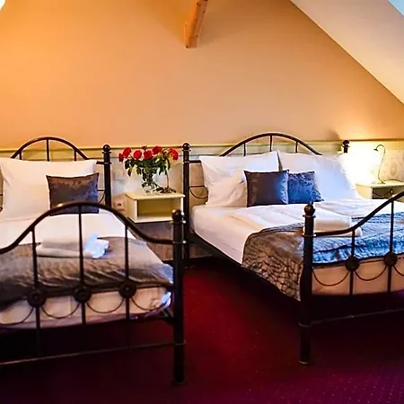 Zamek Kamenny Dvur 4* Františkovy Lázně